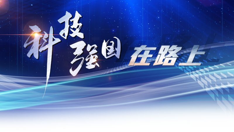 数据湖与数据仓库：企业数据管理的双剑合璧