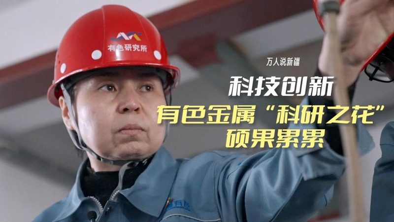 政务云运维服务合同的核心条款解析